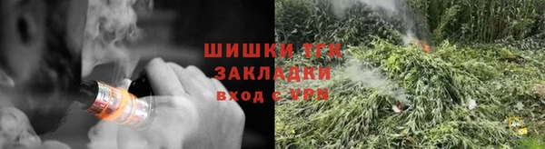 ГАЛЛЮЦИНОГЕННЫЕ ГРИБЫ Белокуриха