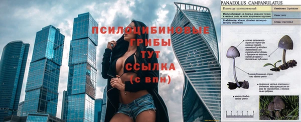 mix Беломорск