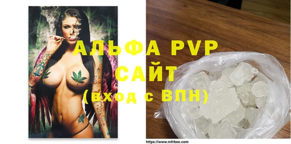 ГАЛЛЮЦИНОГЕННЫЕ ГРИБЫ Белокуриха