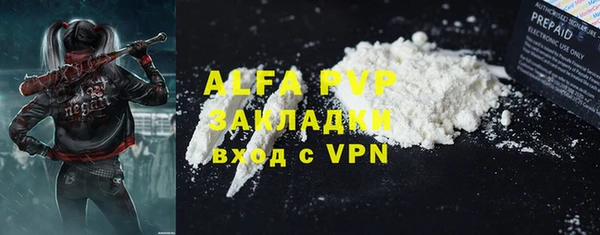 ГАЛЛЮЦИНОГЕННЫЕ ГРИБЫ Белокуриха